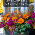 Create Magical Fall Window Boxes Today : 13 Ideas