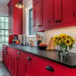 Why These Kitchen Colors Are the Perfect Match for Your Black Countertops!